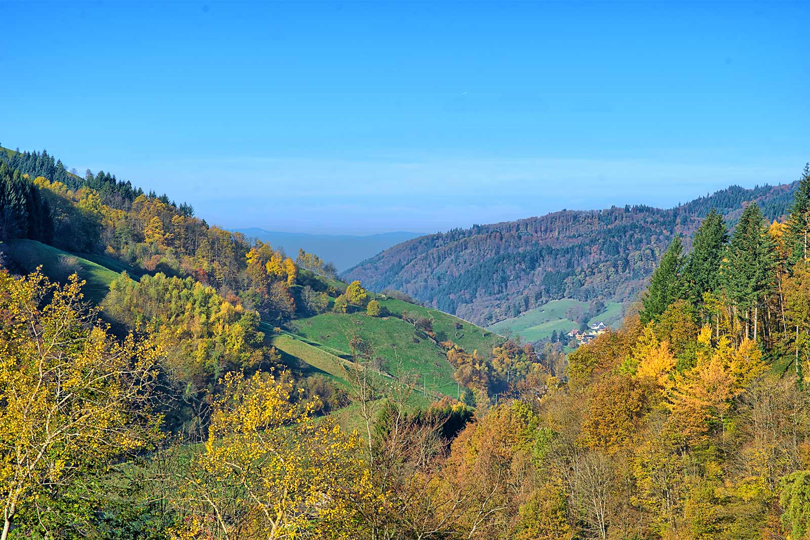 Ferienhaus Kropbach Gartenansicht